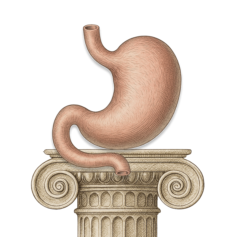Filar 1 · Biochemia